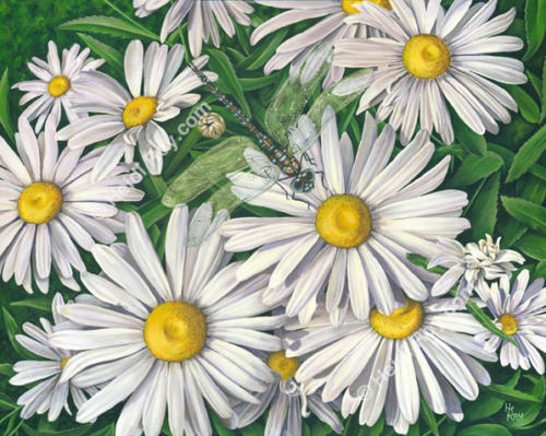 Dragonfly with Daisies