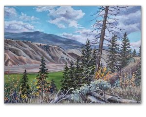 "Deadman Valley View" Greeting Card
