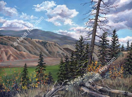 Deadman Valley View